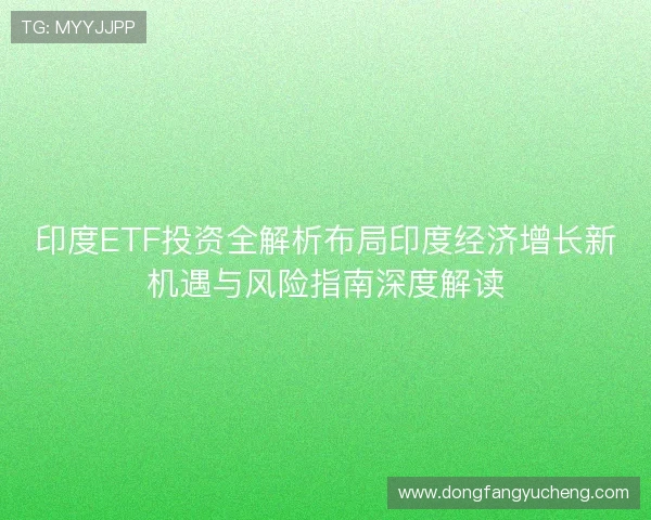 印度ETF投资全解析布局印度经济增长新机遇与风险指南深度解读